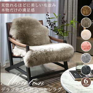 _P5{18`6H^ōVR[gO iEx̂ӂӂ타[g pږ CƖ [gO 60x90cm CуO At@[ AV[  