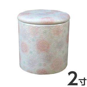 ~j 2 ؂ a6.3cm6.7cm VRpbL