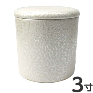 y50~OFFN[|zz}\z e؈ 3 a9.7cm 10cm VRpbL 