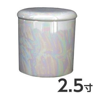 y50~OFFN[|zz}\z X^[  2.5 a7.8cm 8.1cm VRpbL 
