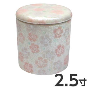  2.5 ؂ VRpbLt 퐻