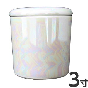 y50~OFFN[|zz}\z X^[  3 a9.7cm 10cm VRpbL