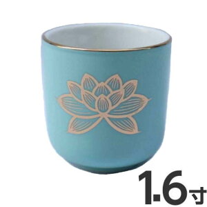  nX  1.6  a5.2cm  ۂ