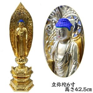 y󂠂z@MɁ@6@Zp@42.5cm@\@y@@@