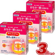 めぐりズム 蒸気の温熱シート 下着の内側面に貼るタイプ 5枚入【×3個セット】 (外箱なし) 花王