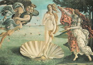ISTITUTO FOTOCROMO ITALIANO / I.F.I ポスター/ラッピングペーパー 50×70 ボッティチェッリ ヴィーナス…