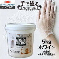 【公式ストア】ニッペしっくい風水性ペイントDIYSTYLE｜MORUMORU(モルモル)5kg白｜ニッペホームプロダク…