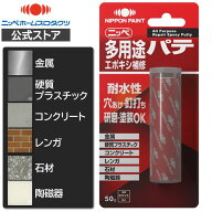 半額クーポン【公式ストア】接着剤　ニッペ　接着補修シリーズ｜　多用途エポキシ補修パテホワイト50g