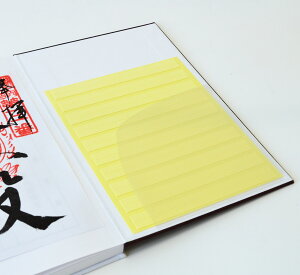 pV[|Pbg u  ʃV[ |Pbg z_[ \