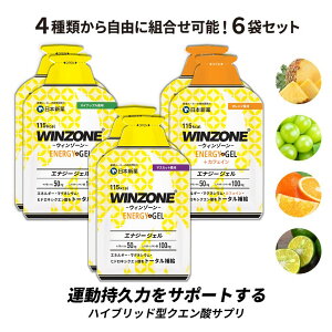 yԌ15OFFz}\ Tv WINZONE ENERGY GEL EB][ GiW[WF 3-6܃Zbg Rɑg\ {V v L_f^  g[jO O ⋋H sH Gl