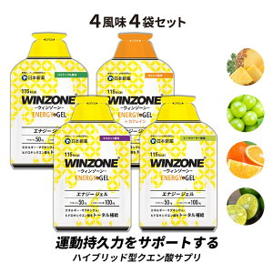 yԌ15OFFz}\ Tv WINZONE ENERGY GEL EB][ GiW[WF S4܃Zbg {V v L_f^  g[jO O ⋋H sH GlM[⋋