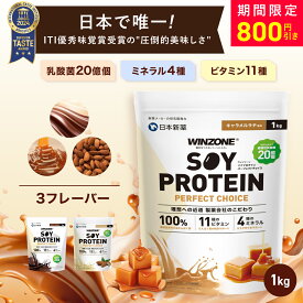 【16日20時から800円OFF！】ウィンゾーン ソイプロテイン パーフェクトチョイス 1kg 日本新薬 大豆タンパク質 置き換えダイエット 女性 美容 男性 BCAA EAA ビタミン ミネラル 乳酸菌 選べる風味 WINZONE プロテイン チョコ ダイエット