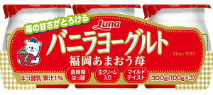 oj[Og ܂ 100g×3×8pbN i fU[g XC[c N[ y {i