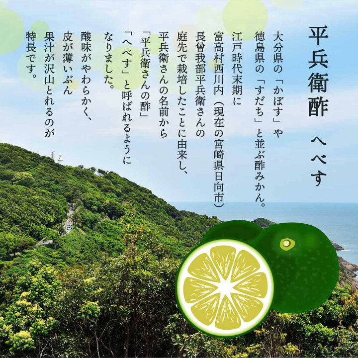 楽天市場 平兵衛酢こしょう 60g へべすこしょう 胡椒 お取り寄せ グルメ ギフト 九州産商 にじデパート楽天市場店