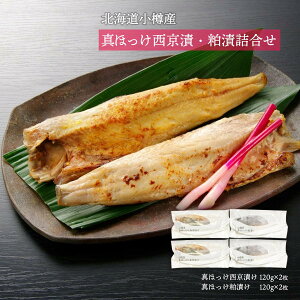  CYi kCMY قЁE l ^قЂ120g×2A^قЂ120g×2 /kCY Y VN ^zbP {H