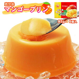 [^J] Ղ  }S[ v 85g×6 /썑 }S[  yY Y