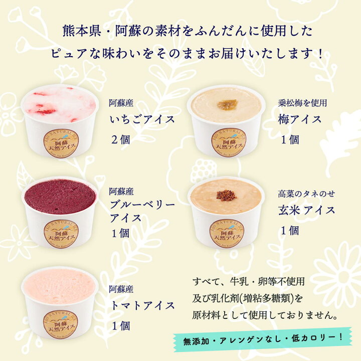 楽天市場 送料無料 阿蘇天然アイス 無添加 アイス 極みシリーズ 乳 卵 アレルギーフリー 6個セット アイス 阿蘇 熊本 アレルギーフリー 卵 牛乳 不使用 無添加 自家製 低カロリー にじデパート楽天市場店
