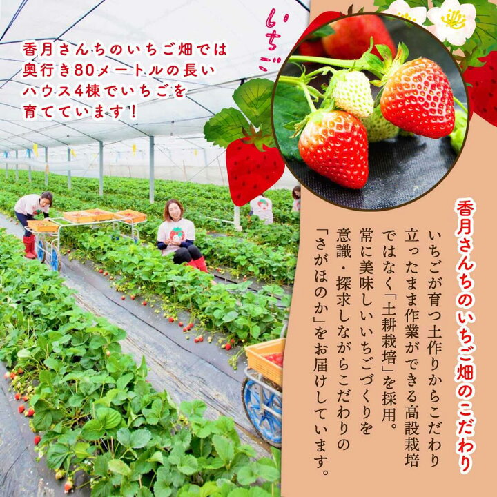 楽天市場 香月さんちのいちご畑 いちごジュレギフト 3個セット いちご 香月 佐賀 ゼリー にっぽんマルシェ楽天市場店