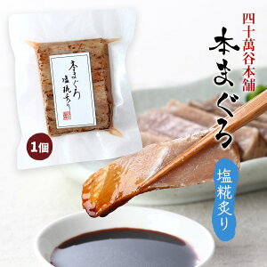 y [l\ݒJ{] {܂뉖t 1 }O {}O    Ԃ CN Jpb` vg ⓀZp  ci