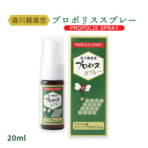 [X쌒N] v|X v|XXv[ 20ml /~co` I g y Xv[ v|XXv[ ֗ h h N ݂͂