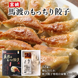 [Lq̔nn] Lq Lq 12 Lq̃^E[ht (AP[XEۗܕt) /Lq Ⓚ yY Mtg  Ε Lq̂܂ {Lq {茧 璬 ݂₴Lq