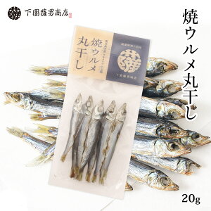 CV [FjX] ăEۊ 20g / ߂킵 ۊ v |  ㊣