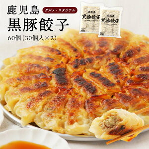 [OEX^WA]  ⓀLq  Lq 60(30×2P) /Lq e  ؓ Ⓚ Lq Lq  Lq Lq {Lq ĂLq 傤