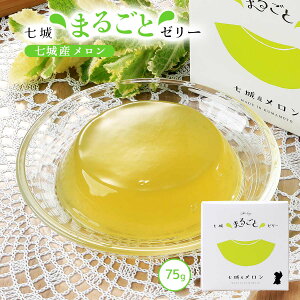 [[ [钬YiZ^[] [[ 75g /F{Y   ʕ t[c[[ fU[g  蕨