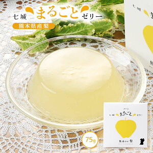 [[ [钬YiZ^[] [[ 75g /F{Y   ʕ t[c[[ fU[g  蕨