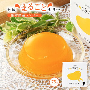 [[ [钬YiZ^[] }S[[[ 75g /F{Y }S[ ʕ t[c[[ fU[g  蕨 q