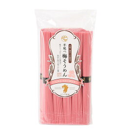 【スーパーセール価格】 [のうち製麺] 麺類 手延べ梅そうめん 500g(50g×10束)/島原/麺/梅風味/素麺/風物詩/夏/軽食/お昼ごはん/乾麺