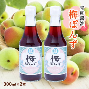 [ݖ] || ~ۂ 300ml×2{Zbg /V B   ۑ哤ݖ Ì  ~  ۂ| |Y Y ₵ T_  apX^ Y z X BY̔~ 