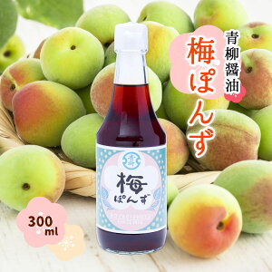 [ݖ] || ~ۂ 300ml V B   ۑ哤ݖ Ì  ~  ۂ| |Y ۑ Y ₵ T_  apX^ Y z X BY̔~ V\