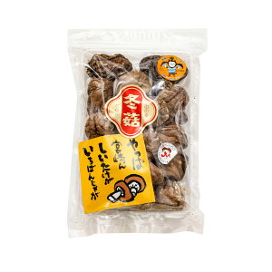 ő [cX]  {Yő ǂ uTD-10v 80g /ǂ   ؂ ő {茧 