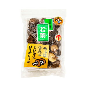 y15%OFF yVX[p[SALEző [cX]  {Yő tuK-8v 65g /ǂ   ؂ ő {茧 