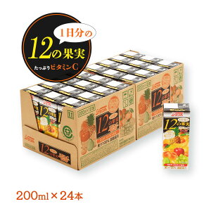  [{茧_ʏ`(TA)] t[cW[X yP[X̔z 112̉ʎ 200ml×24{ /H r^~C  ybg{g Mtg 蕨