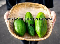 送料無料 [パパイア王子] MIYAZAKI GREEN PAPAYA 1kg(宮崎グリーンパパイア 2～3個程度)【発送時期:9月中…