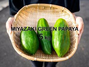 �������� [�p�p�C�A���q] �ʕ� MIYAZAKI GREEN PAPAYA 5kg(�{��O���[���p�p�C�A 7�`10���x) �y��������:9�����{���`���������z/�X�[�p�[�t�[�h �y�f ���f�B�J���t���[�c �X���[�W�[ �Е� �� �l�C