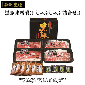 [B_] Mtg ؖXЂAԂ lB NNF-3740 [XXCX150g×2AoXCX50g×2A||50g×4A[XXЂ100g×5 Y  ؓ