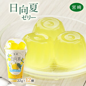 [^J] [[ ă|[V[[ 22g×12 / V[xbg [[ {茧 Ė [[ F  k ₩ ЂƂ XC[c