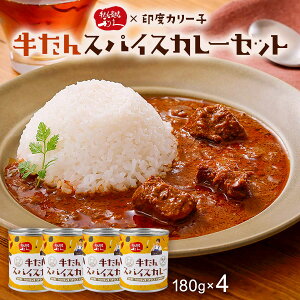 MtgZbg [v] uYėv×xJ[qvXpCXJ[Zbg 180g×4 /gg O ^ ggJ[ ggHi Mtg 蕨 Ε