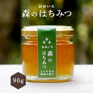 ݂͂ [}{I] X݂̂͂ 90g /I n`~c 啪 Y N  nj[ HONEY