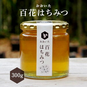 ݂͂ [}{I] SԂ݂͂ 300g /I n`~c 啪 Y N SԖI  nj[ HONEY