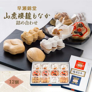 y10%OFF yVX[p[SALEz[ѓ] Œ RĂȂ lߍ킹 12 /Mtg F{ aَq iJ yY   Mtg 蕨 v[g ̓ ̓ hV̓ Ry 