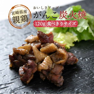 YΏ [{Gkt[Y] {茧Y񂱒YΏ 120g /{ ܂   O Mtg