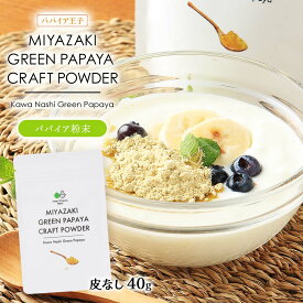 [パパイア王子] パパイア粉末 MIYAZAKI GREEN PAPAYA CRAFT POWDER Kawa Nashi Green Papaya 40g/青パパイア/パウダー/スーパーフード/粉/酵素/腸活