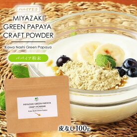 【スーパーセール価格】[パパイア王子] パパイア粉末 MIYAZAKI GREEN PAPAYA CRAFT POWDER Kawa Nashi Green Papaya 100g 青パパイア パウダー スーパーフード 粉 酵素 腸活