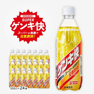 [{茧_ʏ`(TA)] hN yP[X̔z X[p[QL 500ml×24{ {茧 Y_ r^~n XbL tbV ybg{g 