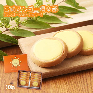 َq [^J] {}S[y }S[^gNbL[ 10 /ĉَq NbL[ eB[^C قƈꑧ { 났 uCN^C  b`eCXg yY XC[c }