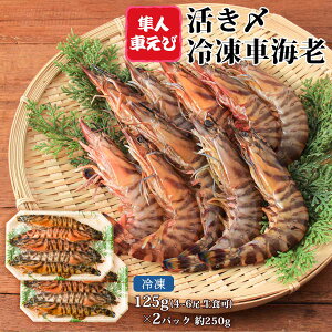 y10%OFF yVX[p[SALEz[lԂ] CN YⓀԊCV125g(4~6)×2pbN(H) 250g//ԃGr/^pbN/Nx/VN//Ⓚ/}//hg/H/蕨/Mtg/